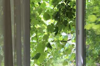 Апартаменты Апартаменты для гостей с душой Винница Апартаменты с 2 спальнями-13