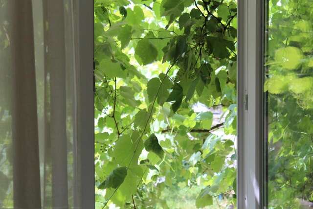 Апартаменты Апартаменты для гостей с душой Винница-15